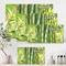 Designart - Bright Green Bamboo Stems - Transitional Canvas Wall Art Print
